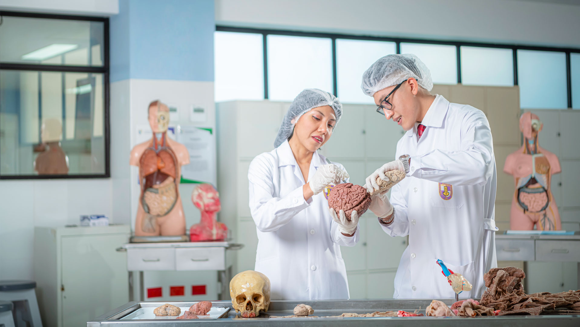 Medicina